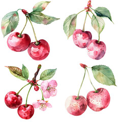 watercolor style cherry vector PNG, cute poster, vector element, PNG bundle, clipart, transparent background