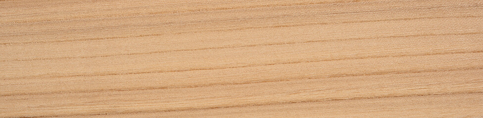 Sleek gray elm veneer with smooth horizontal grain lines