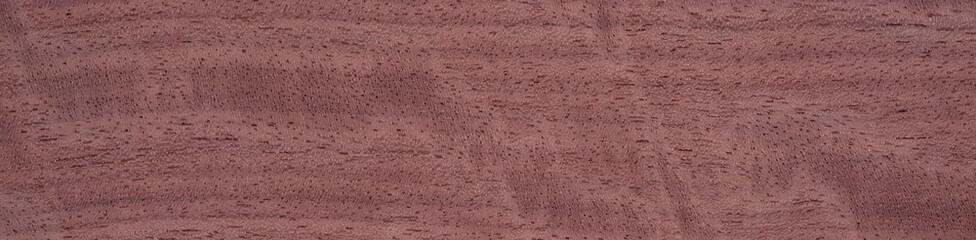 Evaporated lime veneer with a fine, even grain and soft beige color