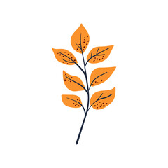 Folk plant. Simple orange leaf. Autumn botany. Minimalist style. Flat isolated vector illustration. No AI. hand drawn