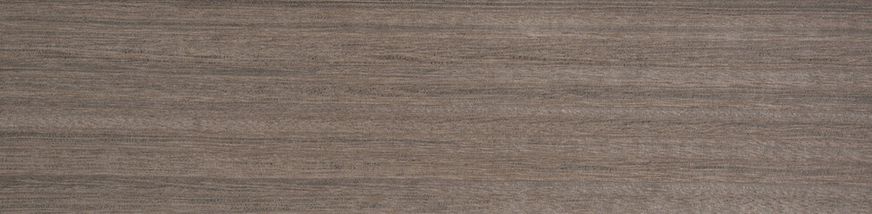 Silver gray striped eucalyptus veneer wooden surface, embodying sleek modernity © Dmytro Synelnychenko