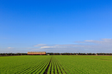 冬の青空を背景に走るひたちなか海浜鉄道