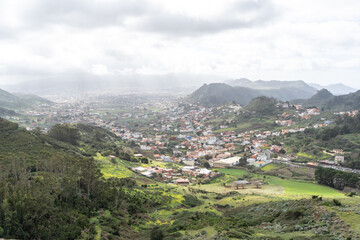 Fototapeta premium Laurel Park rural de Anaga, Tenerife lush greenery, walking paths, recreational area, local flora public park