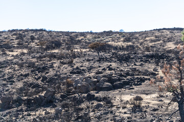 Lava Fields, Pumice Volcano Stones Texture, Volcanic Pumice Pattern, Pieces of Lava, Basalt Extrusive Igneous Rock