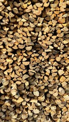 Chopped firewood stack ready for winter, offers sustainable warmth 