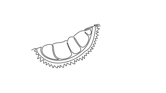 Fruits concept. Single line draw design. Full length animation illustration. High quality 4k footage.
