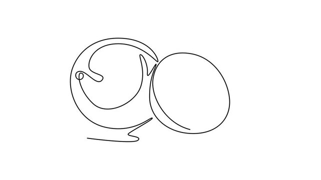 Fruits concept. Single line draw design. Full length animation illustration. High quality 4k footage.