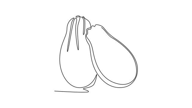 Fruits concept. Single line draw design. Full length animation illustration. High quality 4k footage.