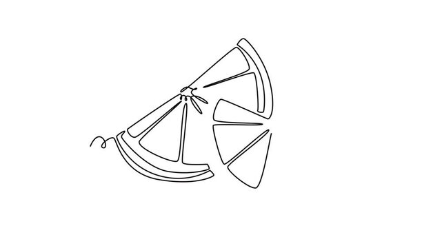 Fruits concept. Single line draw design. Full length animation illustration. High quality 4k footage.