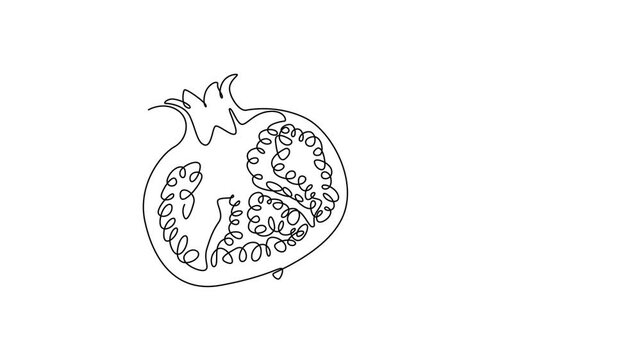 Fruits concept. Single line draw design. Full length animation illustration. High quality 4k footage.