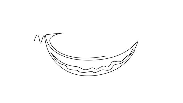 Fruits concept. Single line draw design. Full length animation illustration. High quality 4k footage.