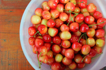 Yellow And Red Rainier Cherry Berries In White Bucket On Wooden Desk Top View