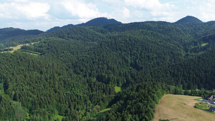 Fototapeta premium Bright morning sunlight over forest park in mountainous landscape