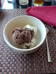a bowl of chocolate and vanilla flavored gelato ice cream