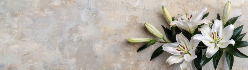 Obraz premium Elegant white lilies in bloom against textured neutral background, capturing natural beauty and simplicity. Ideal for decorative and floral designs.