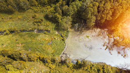 Aerial View of a Beautiful Pond Surrounded by Trees and Greenery