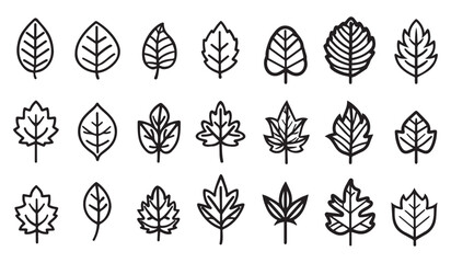 Leaves Icons Set - Different Vector Illustrations Isolated On White Background