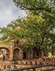 Obraz premium Throne fortress in Suceava, Aleea Cetatii, Suceava 720003