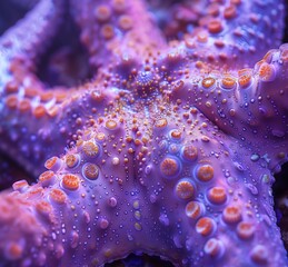 A detailed close-up of a purple sea star 