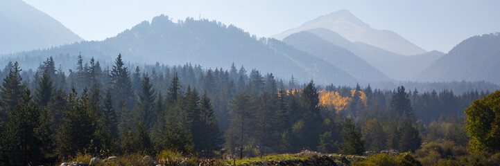 panorama background of Pirin, Bulgaria with pine trees