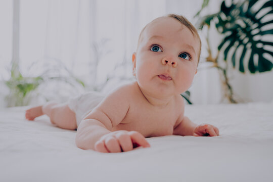 Innocent baby boy lying on front in bed at home