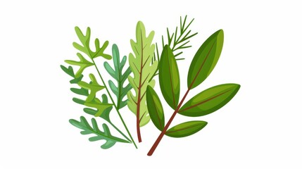 Fototapeta premium Vibrant spice leaves and herbs for a fresh vegetable salad, showcased in an illustration on a white background. Perfect for culinary designs.