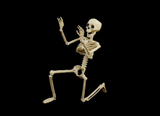 Skeleton isolated on black background
