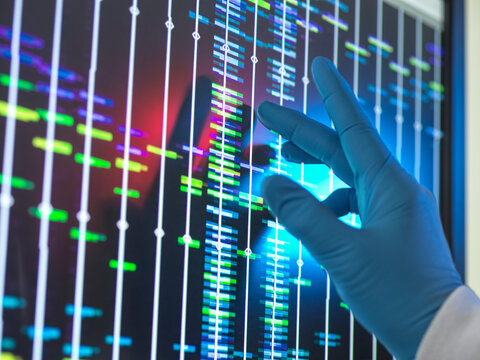 Senior scientist analyzing DNA profile on computer screen at lab