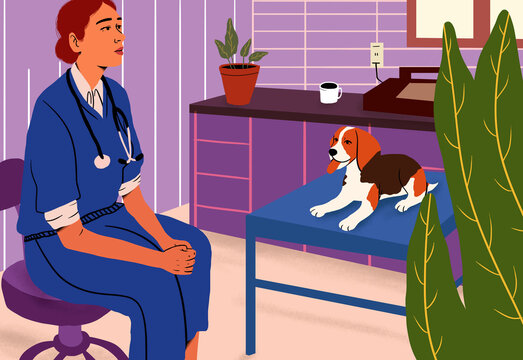 Veterinarian in blue scrubs sitting next to Beagle on examination table in clinic