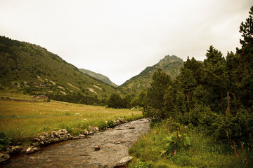 River amidst meadow and mountains under clear sky in Andorra