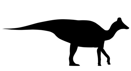 silhouette of a dinosaur on a white background