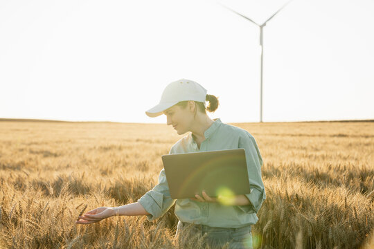 Smiling agronomist touching wheat crop and standing with laptop