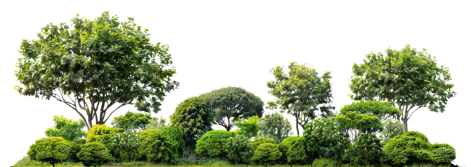 Green park landscape with bushes and trees, cut out