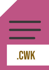 CWK   File extension icon minimal colro fill