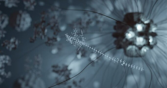 Zilucoplan rotating 3d molecule, molecular structure of complement inhibitor, seamless video