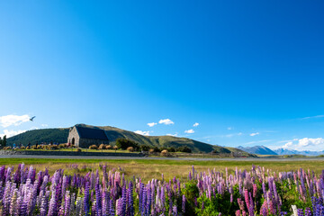Obraz premium A vast field of vibrant wildflowers with a stone church and mountains in the background. The bright blue sky and serene landscape offer a breathtaking view, perfect for nature lovers and photographer