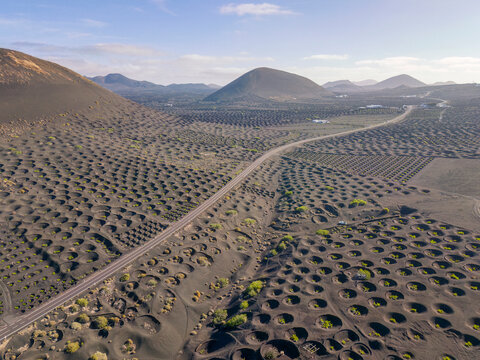 Spain, Canary Islands, Aerial view of volcanic vineyard onLanzaroteisland