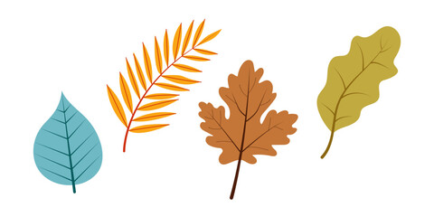 Set of autumn leaves on a white background, vector illustration in flat style