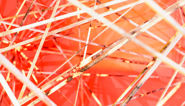 3D render of white lines over orange colored background