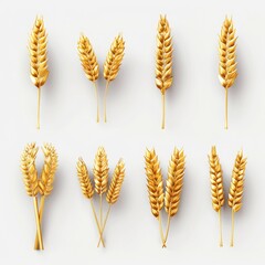 Wheat icon, rye ears sign, barley emblem, oats, cereals symbol, wheat ear, seeds, corns set