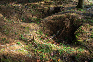 The Real Easy Company Foxholes Bois Jaques, Bastogne, Belgium