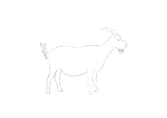 animal, farm, mammal, vector, illustration, cow, animals, goat, donkey, white, silhouette, cartoon, nature, deer, dog, isolated, drawing, black, agriculture, wild, milk, livestock, outline