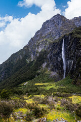 A scenic path lined with vibrant yellow flowers, inviting exploration and a sense of tranquility.