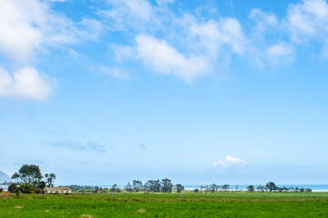 A wide view of a clear blue sky over a green field with a few trees and the distant ocean horizon, highlighting the vastness of the landscape.