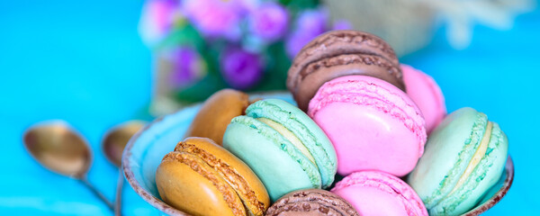 Cake macaron or macaroon on turquoise, banner