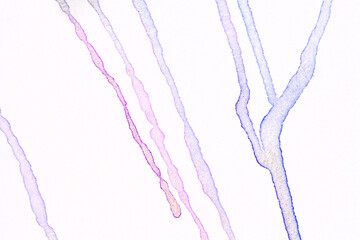 Background with thin lines from metallic watercolor running over the page