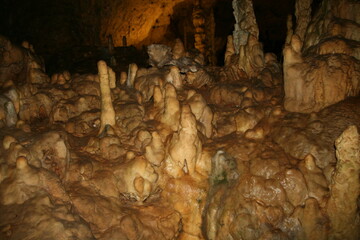 Bärenhöhle Sonnenbühl