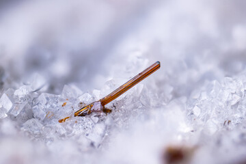 Rutile on dolomite. Micro photography extreme close-up. Specimen from Lengenbach Quarry, Switzerland. microscope photography for Scientific use