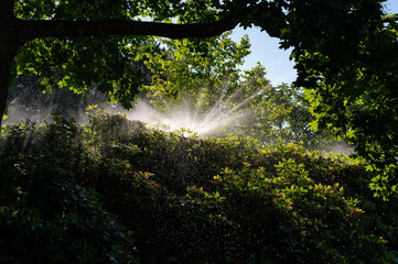 Sprinklers watering public garden in Orebro Sweden