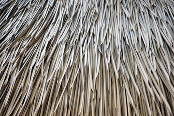 Closeup image of dry nypa fruticans or nipa palm leaves used as roof material for thatched houses or dwellings.